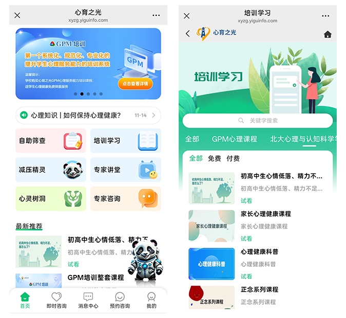 心理健康服务 - 心育之光